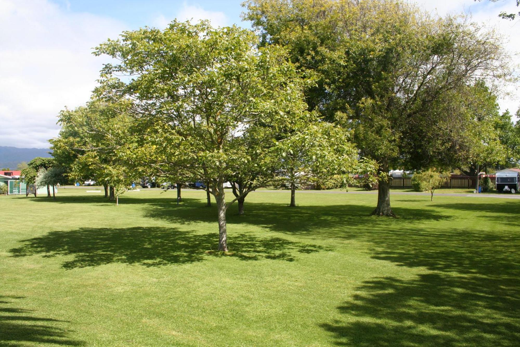 Levin Top 10 Holiday Park מראה חיצוני תמונה